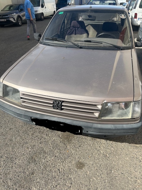 0293 PEUGEOT 309 1.9D 1988